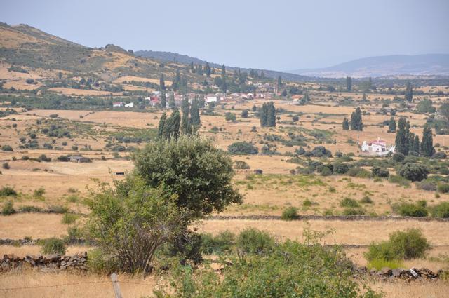 NARRILLOS DEL ÁLAMO