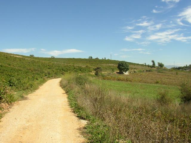 CAMPONARAYA