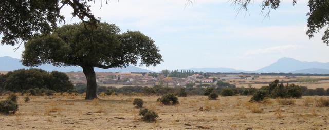 CARRASCAL DEL OBISPO