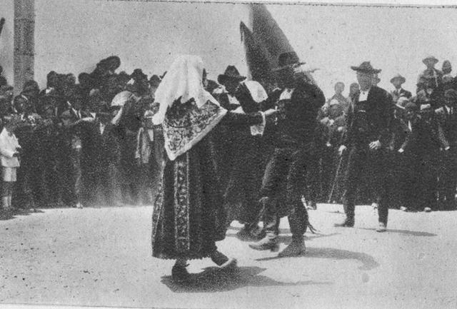 ROBLIZA DE COJOS