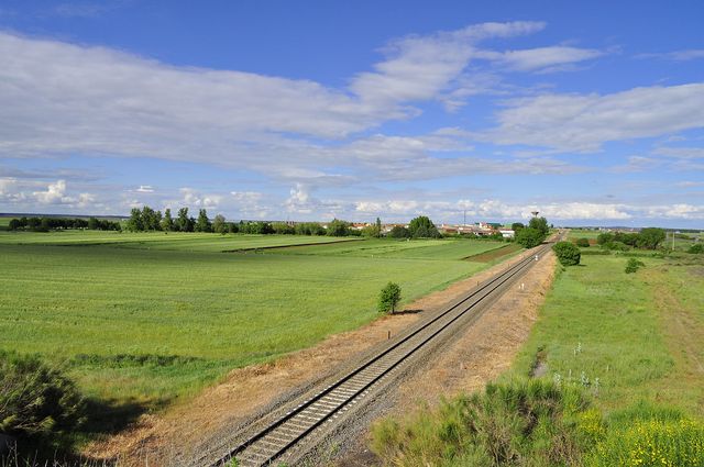 ROLLÁN