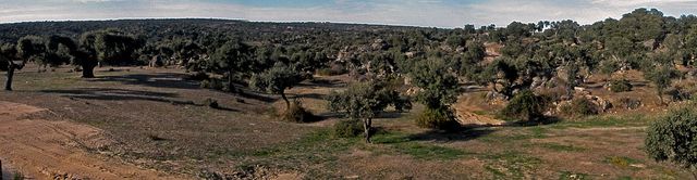 VILLASDARDO