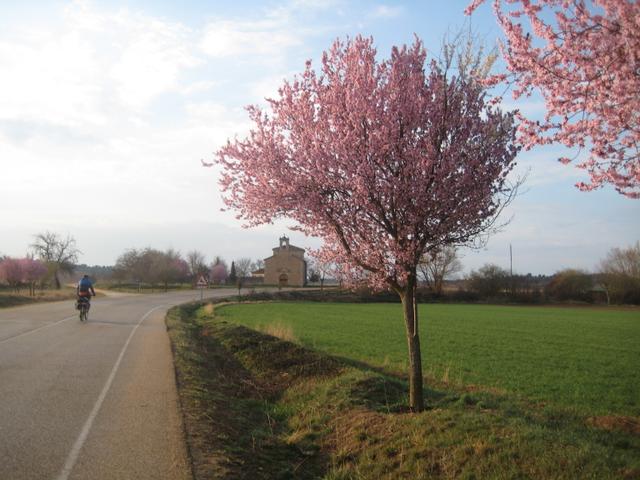 ALCUBILLA DE AVELLANEDA