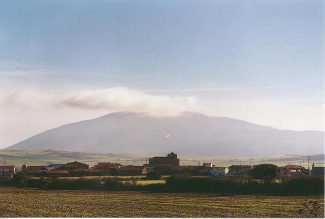 MATALEBRERAS