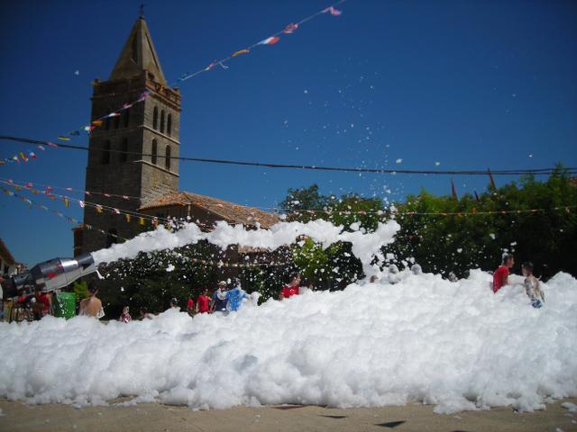 GATÓN DE CAMPOS