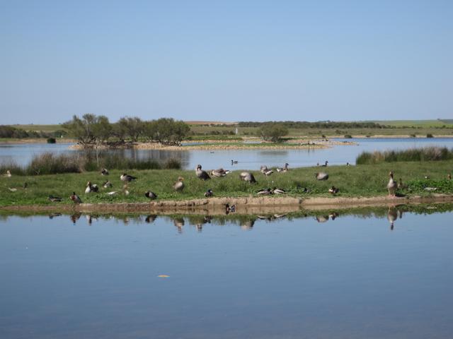 VILLAFÁFILA